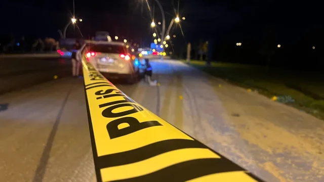 Köpeği Tabancayla Korkutmak İsteyen Muhtar Kazara Başka Bir...