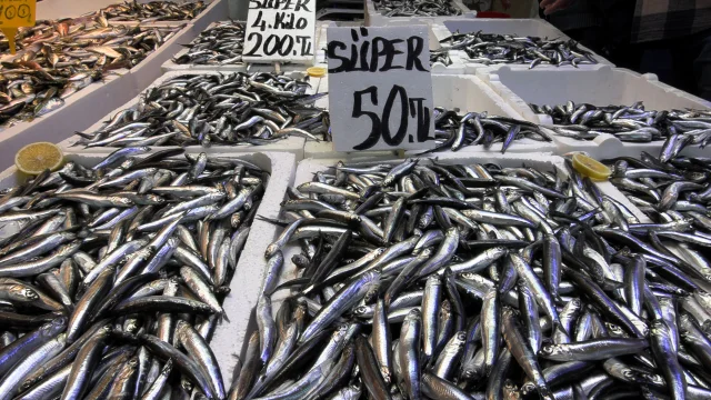 Trabzon'da hamside fiyat düştü: Tezgahlarda yoğun ilgi