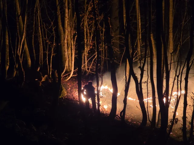 Ordu Kumru'da Örtü Yangını: Ekipler Müdahale Ediyor