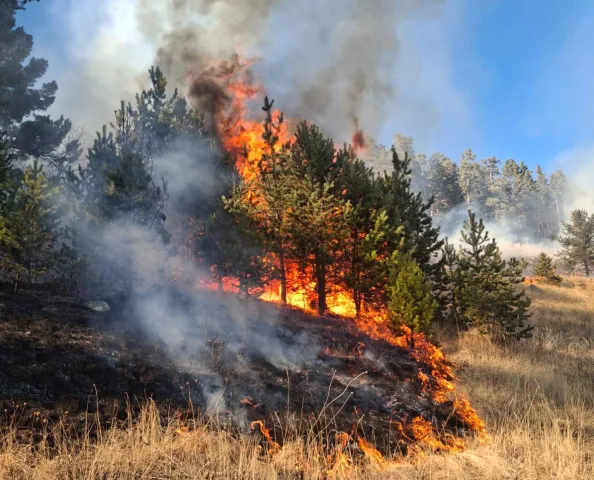 Erzurum Şenkaya'da Orman Yangını: İki Nokta Kontrol Altında,...