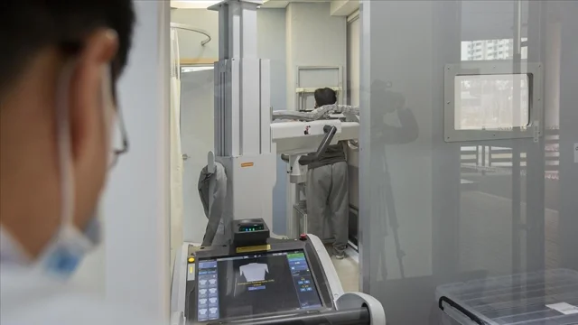 Yılın 6. Afrika domuz vebası vakası sonrası Güney Kore kırmı...