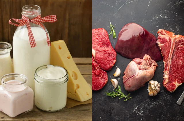 Türkiye'de et ve süt üretiminde arz sıkıntısı beklenmiyor