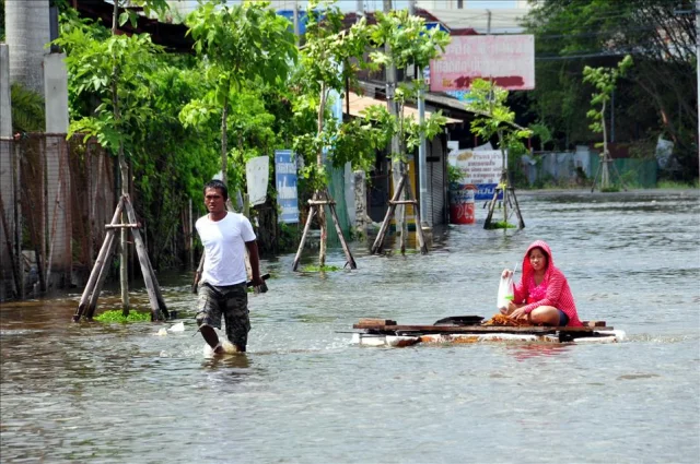 Tayland'daki sel felaketinde ölü sayısı 145'e yükseldi