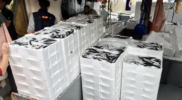 Marmara'da lodos dindi, balıkçıların yüzü güldü: Kasa kasa balık tutuyorlar