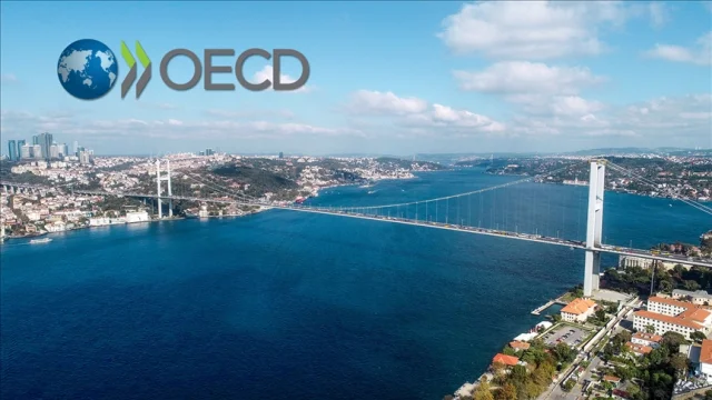 Türkiye, OECD'nin en hızlı büyüyen 4'üncü ekonomisi oldu
