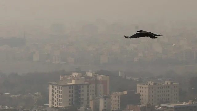 Tahran'da hava kirliliği alarmı: Okullar ve kamu kurumları tatil edildi!