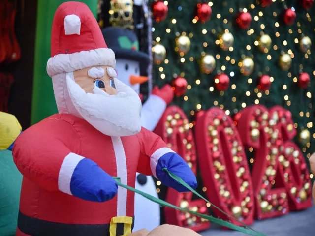 Yeni yıl hazırlıkları cep yakıyor! Çam ağaçlarının fiyatı dudak uçuklattı