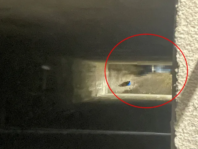 Kaza geliyorum demedi: İnşaat işçisi, 25 metreden düştü!