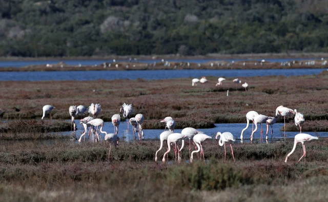 Bir yanda kirlilik bir yanda görsel şölen! 