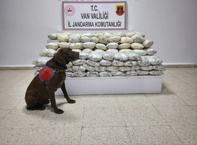 Van'da uyuşturucu operasyonu! 