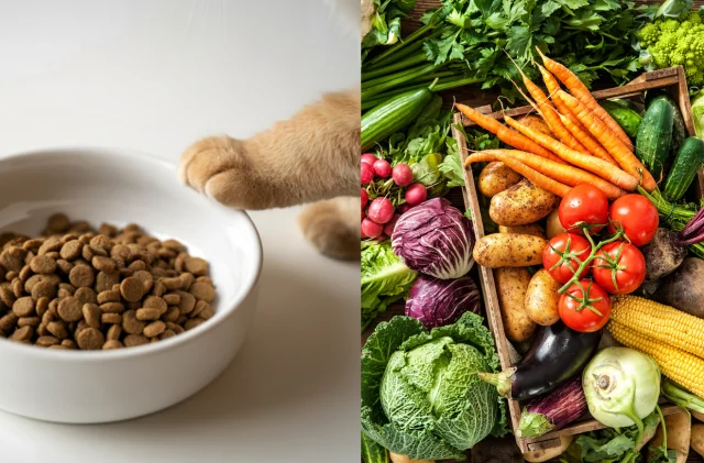 Kasım ayında fiyatı en çok artan ve düşen ürünler açıklandı!