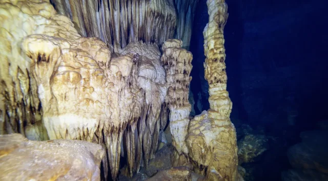 İlk kez su altında görüntülendi! Kirpiyi takip eden çoban keşfetmişti