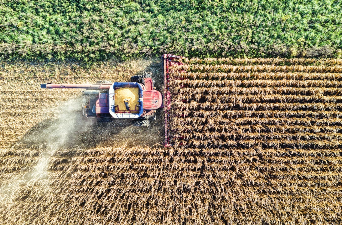 Kasım ayı tarımsal destekleri açıklandı: Üreticiye 376,8 milyon TL ödeme