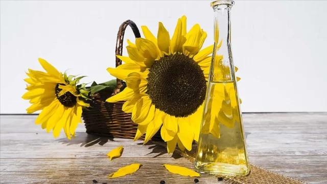 Türkiye'nin ayçiçek yağı ihracatında hedef!