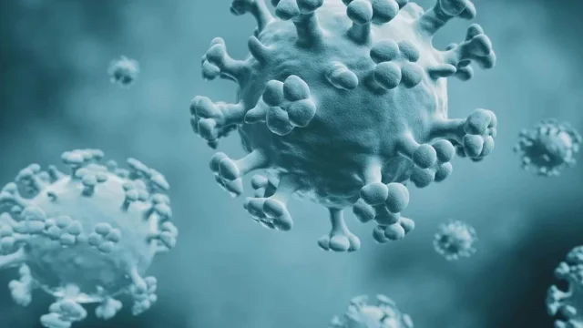 H3N2 Virüsü: Vakalar Artacak Mı?