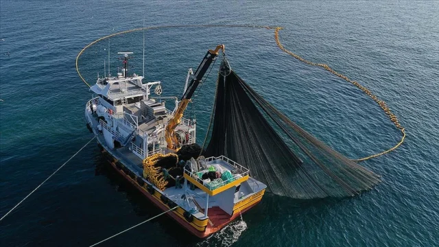 Su ürünleri avcılığına yeni düzenleme: Sözleşmeli üretim dönemi başladı