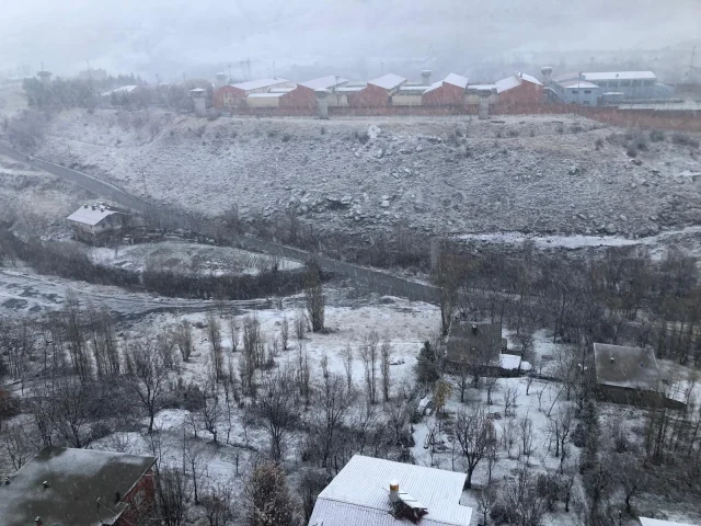 Van ve Bitlis'te kar yağışı hayatı olumsuz etkiledi