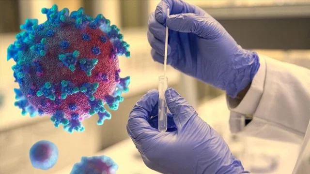 Milyonlarca ölümle bağlantısı olabilir mi? Kovid aşıları hakkında inceleme başlatıldı