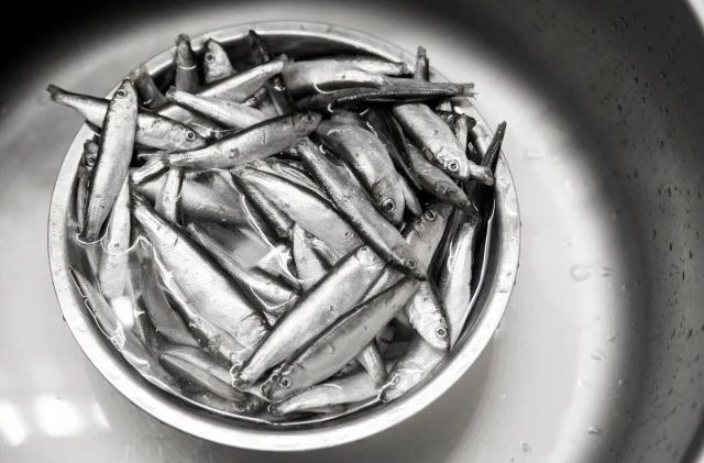 Kasımda balıkçıların yüzü güldü: En çok hamsi satıldı!