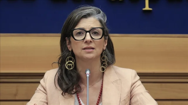 BM Raportörü, Avusturya'yı ırkçılıkla mücadele tedbirlerini artırmaya çağırdı