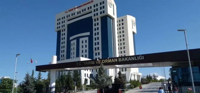 Doğal çiçek soğanlarına ihracat yasağı ve kota düzenlemesi