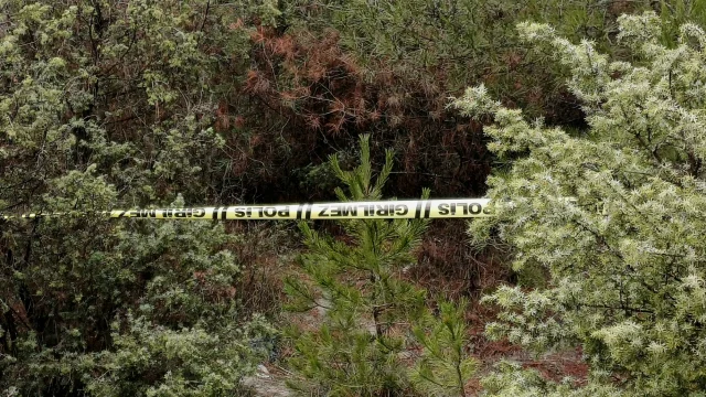 Karabük'te Kayıp Genç Ormanlık Alanda Ölü Bulundu