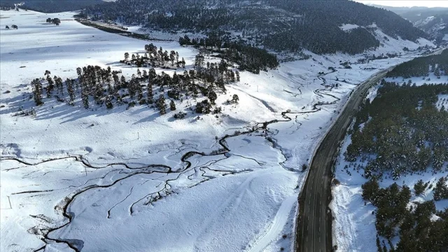 Kars'ta Büyüleyen Manzara: Sarıçam Ormanları Beyaza Büründü