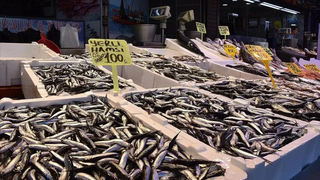 Trabzon'da hamsi ve istavrit 100 liradan satılıyor