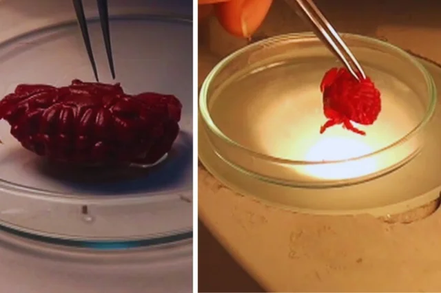 Böylesi ilk kez görüldü: Hatay'da ortaya çıktı!