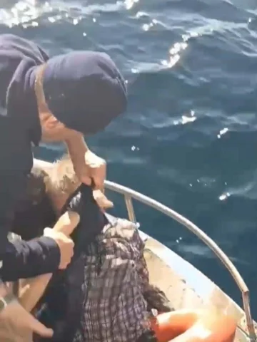 Bozcaada feribotunda denize atlayan yolcu kurtarıldı