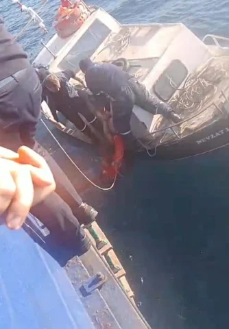 Bozcaada feribotunda denize atlayan yolcu kurtarıldı
