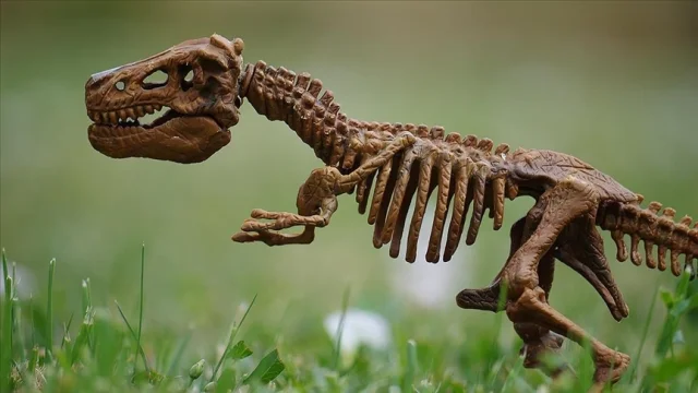 İtalya'da 200 milyon yıllık dinozor ayak izleri keşfedildi