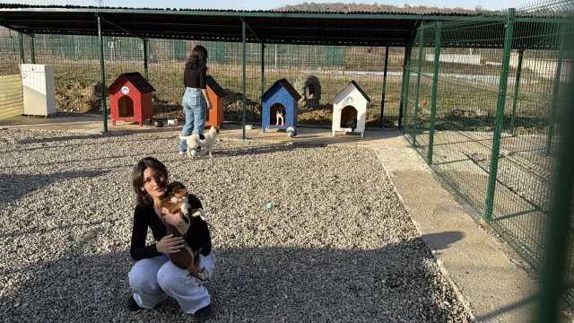 Bartın Üniversitesi'nde Hayvanlar İçin Doğal Yaşam Alanı Kuruldu