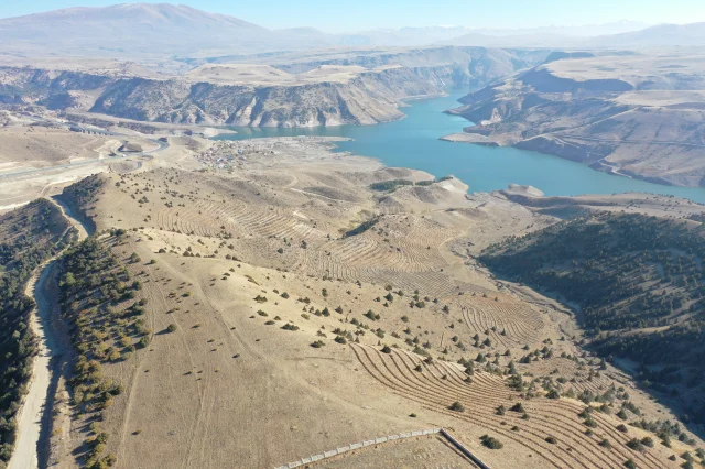 Doğu'da 9 Milyon Tohum ve Fidan Toprakla Buluşturuldu