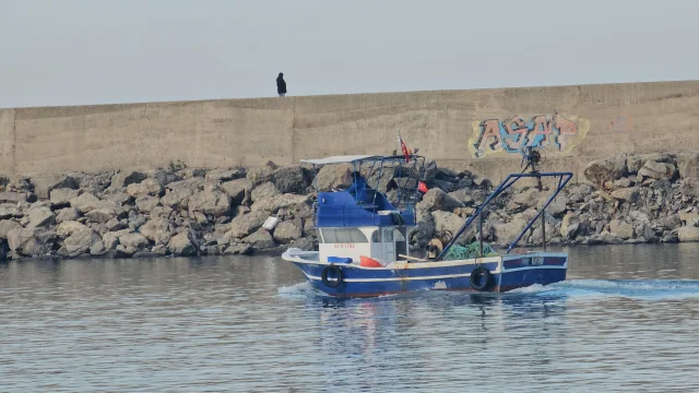 Karadeniz'de zor sezon: Hamsi var, diğer balıklar yok