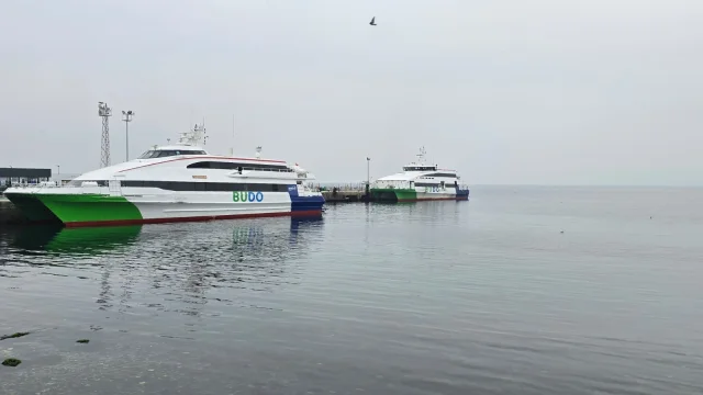 BUDO'nun 1 Ocak'taki 2 seferi iptal edildi