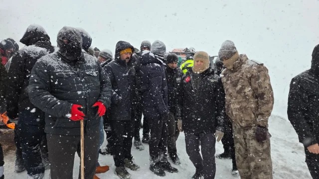 Artvin'in Ardanuç ilçesine çığ düştü