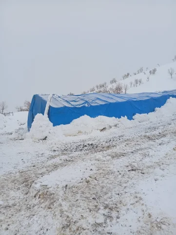 Şırnak'ta Kar Yağışı Göçer Ailelerin Çadırlarını Çökertti