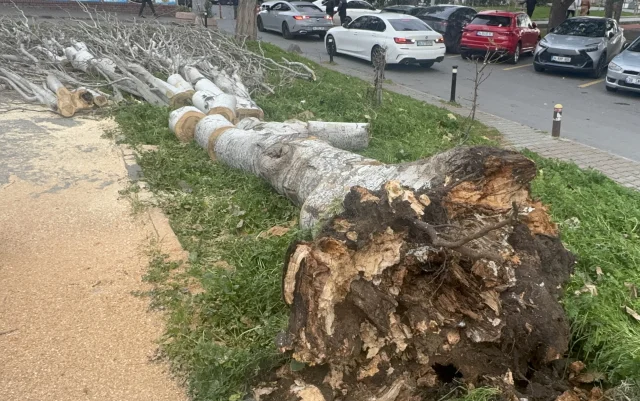 İstanbul’da Şiddetli Lodos ve Fırtına Hayatı Olumsuz Etkiliyor