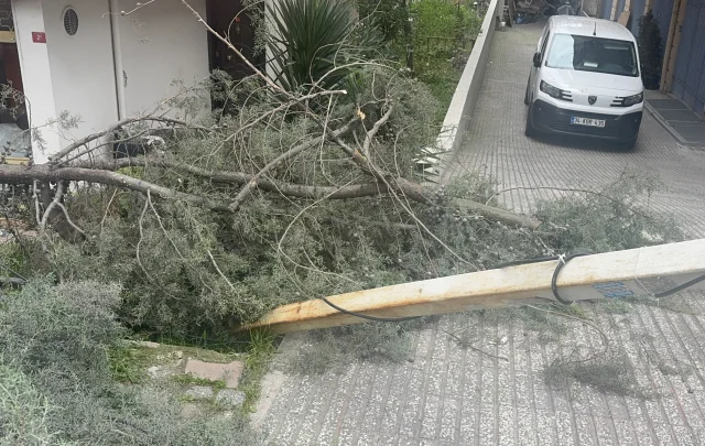 İstanbul’da Şiddetli Lodos ve Fırtına Hayatı Olumsuz Etkiliyor