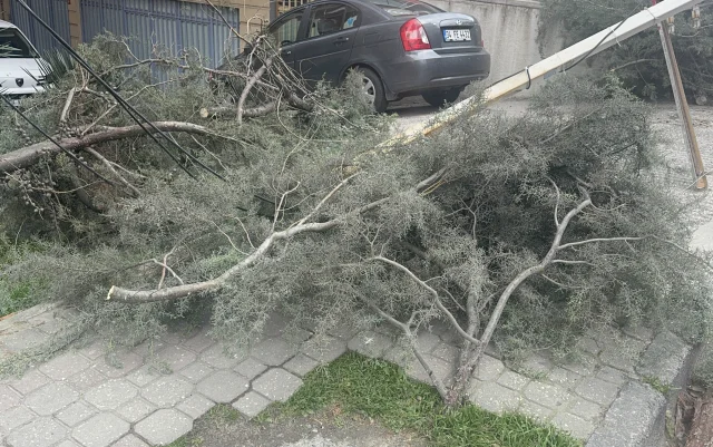 İstanbul’da Şiddetli Lodos ve Fırtına Hayatı Olumsuz Etkiliyor