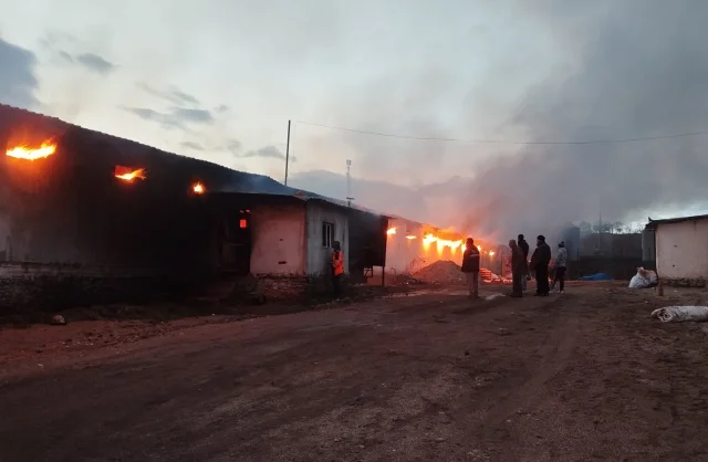 Uşak’ta Tavuk Çiftliği Yangın Çıktı