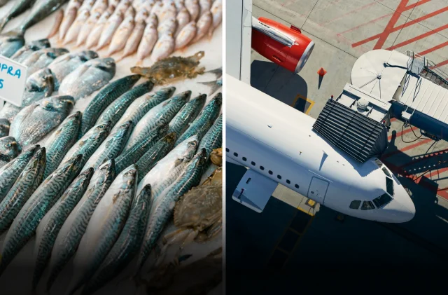 Aralık 2025'te hangi ürünler zamlandı, hangileri ucuzladı?