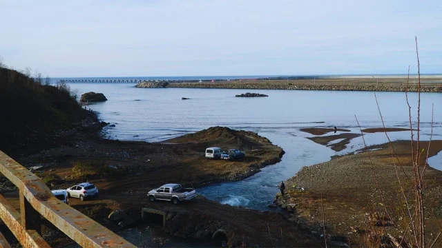 Balık kafesi patladı! Duyan kıyıya akın etti