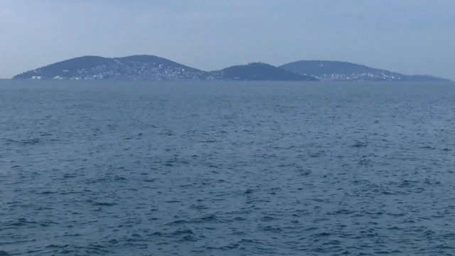 Prens Adaları'nda denize düştü! 8 gündür haber alınamıyor 