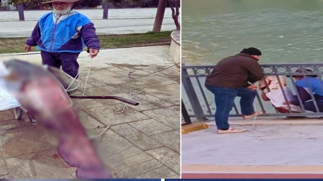 Oltasına takılan dev balığa inanamadı! Çevredekilerin yardımıyla çıkarabildi 