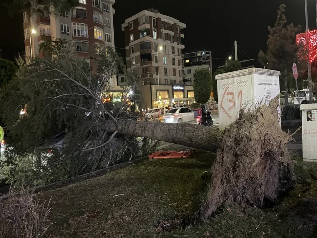 Kayseri'de fırtına: Talas'ta otomobilin üzerine ağaç devrildi