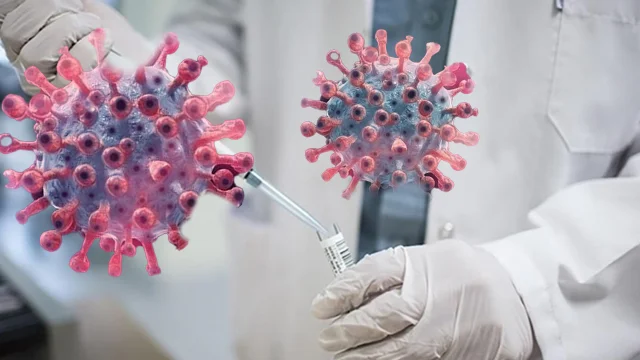 O ülkede Maymun Çiçeği vakaları yükselişe geçti! Yakalananların yaş ortalaması açıklandı