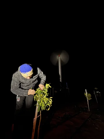 Adana'da narenciye bahçelerinde pervanelerle don nöbeti