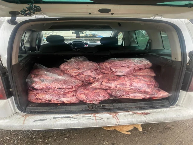 Zonguldak'ta 450 Kilo Bozuk Et Ele Geçirildi